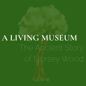 Cater Museum Talks 1. A Living Museum